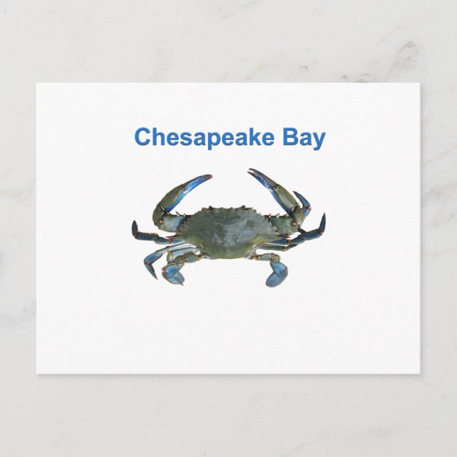 Chesapeake Bay Blue Crab Postcard (Front)