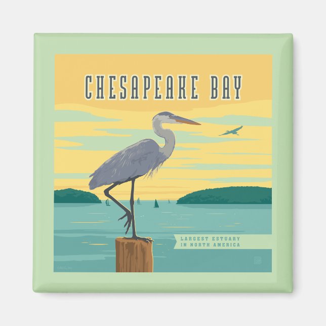 Chesapeake Bay Largest Estuary In North America Magnet (Front)