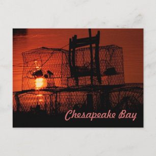 Chesapeake Bay Postcard