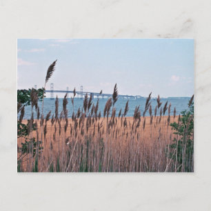 Chesapeake Bay Postcard