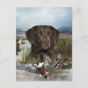Chesapeake Bay Retriever, Art  Postcard