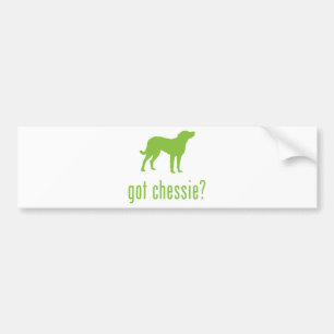 Chesapeake Bay Retriever Bumper Sticker
