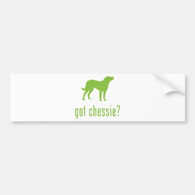 Chesapeake Bay Retriever Bumper Sticker (Front)