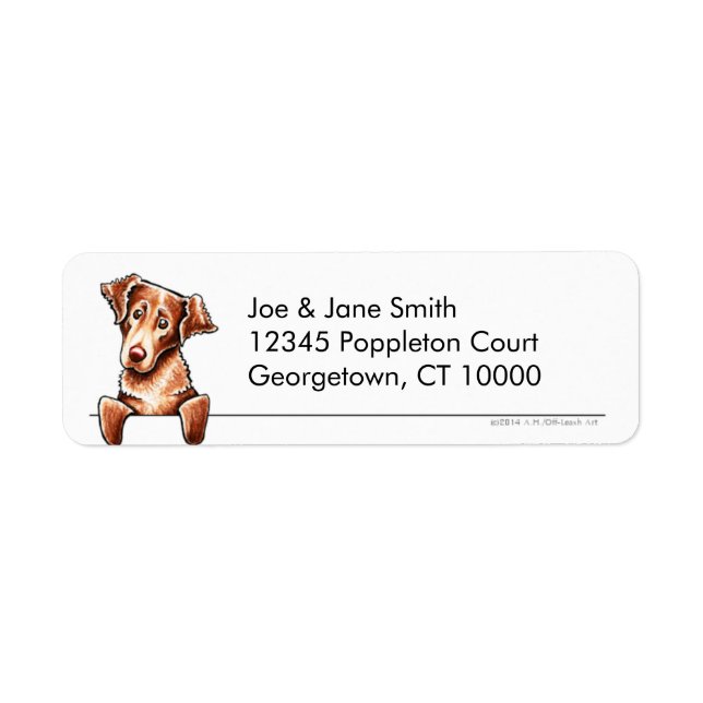 Chesapeake Bay Retriever Clean n Simple Return Address Label (Front)