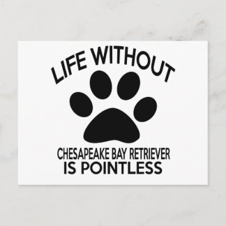 CHESAPEAKE BAY RETRIEVER DESIGNS POSTCARD