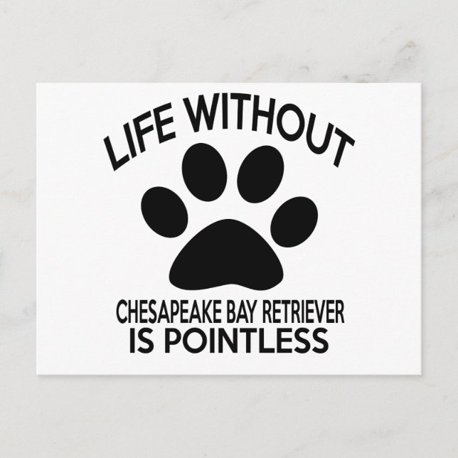 CHESAPEAKE BAY RETRIEVER DESIGNS POSTCARD (Front)