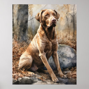 Chesapeake Bay Retriever Dog Art Print Poster