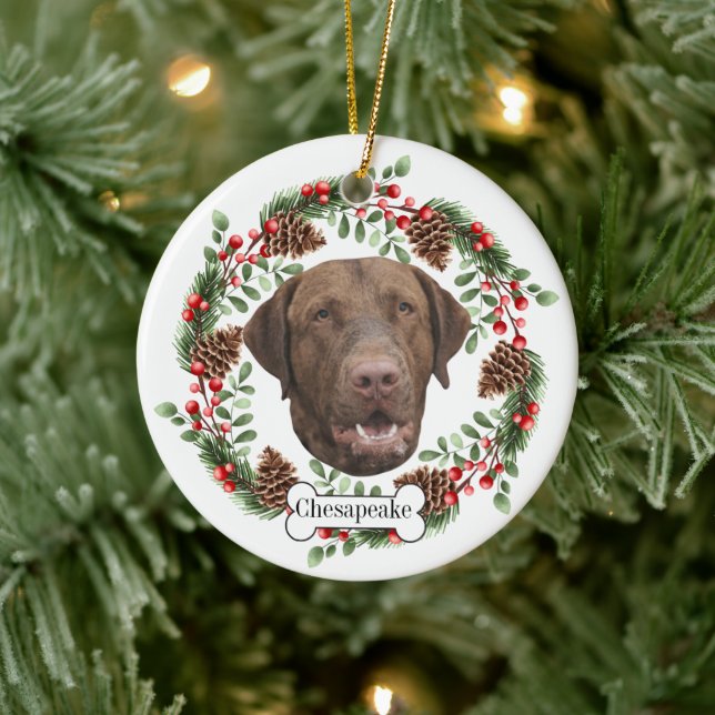 Chesapeake Bay Retriever dog Ceramic Ornament (Tree)