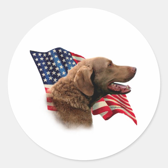 Chesapeake Bay Retriever Flag Classic Round Sticker (Front)