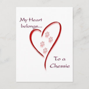 Chesapeake Bay Retriever Heart Belongs Postcard