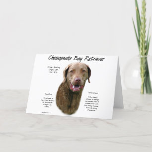 Chesapeake Bay Retriever History Design Holiday Card