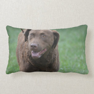 Chesapeake Bay Retriever Lumbar Cushion
