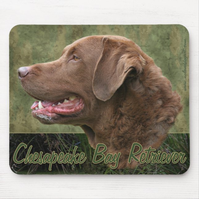 Chesapeake Bay Retriever Mousepad (Front)