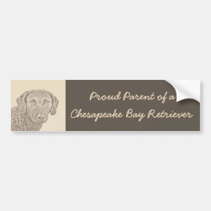 Chesapeake Bay Retriever Painting Original Dog Art Bumper Sticker