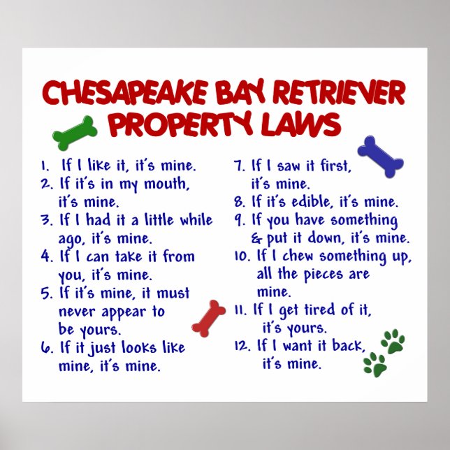 CHESAPEAKE BAY RETRIEVER PL2 POSTER (Front)