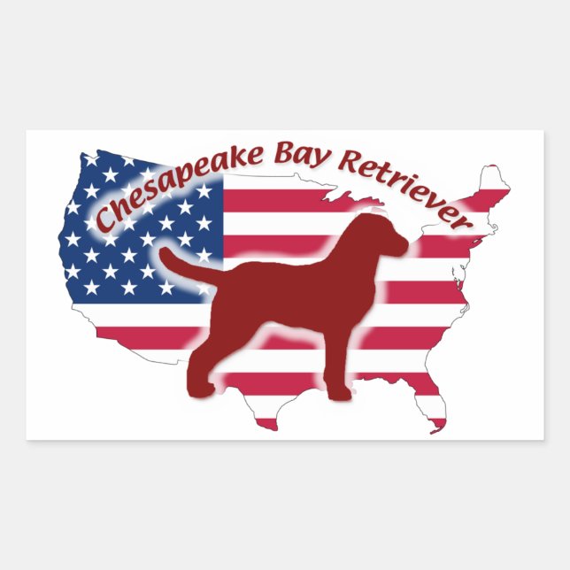 Chesapeake Bay Retriever Rectangular Sticker (Front)