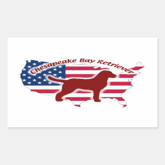 Chesapeake Bay Retriever Rectangular Sticker