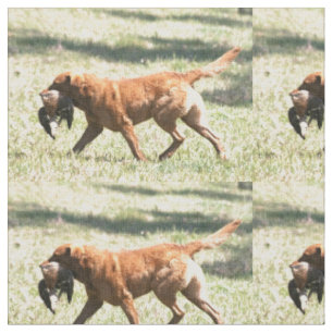 chesapeake bay retriever retrieving.png fabric