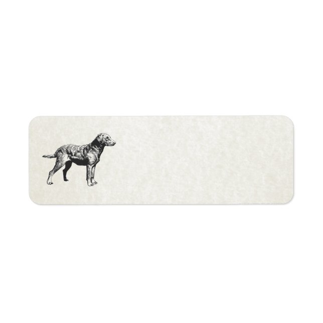 chesapeake bay retriever return address label (Front)