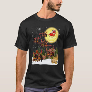 Chesapeake Bay Retriever Sleigh Christmas Decorati T-Shirt