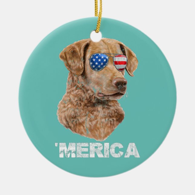 Chesapeake Bay Retriever Sunglasses American USA Ceramic Ornament (Front)