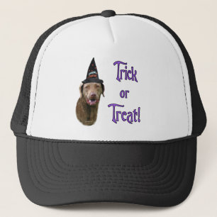 Chesapeake Bay Retriever Trick Trucker Hat