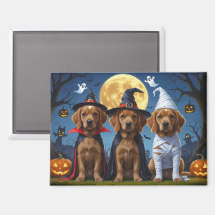Chesapeake Bay Terrier Pumpkin Halloween Funny Magnet