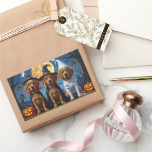 Chesapeake Bay Terrier Pumpkin Halloween Funny Rectangular Sticker