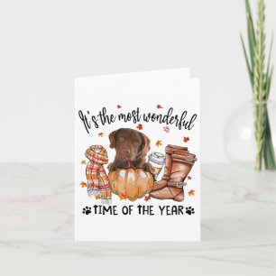 Chesapeake Byy Retriever Autumn Thanksgiving Its T Card