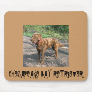 Chesapeakebay retriever mouse pad