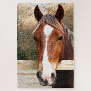 CHESNUT HORSE JIGSAW PUZZLE