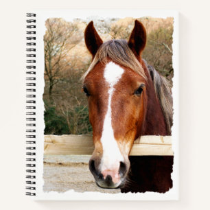 CHESNUT HORSE NOTEBOOK