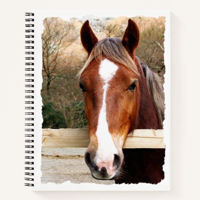 CHESNUT HORSE NOTEBOOK (Front)