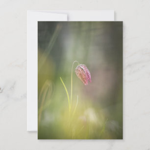 Chess Flower Nature Photo Card