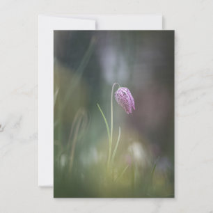 Chess Flower Nature Photo Card