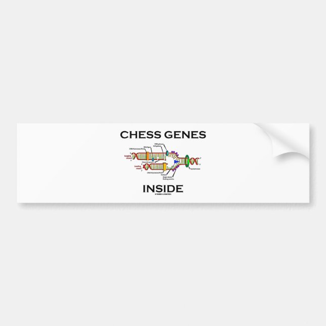 Chess Genes Inside (DNA Replication) Bumper Sticker (Front)