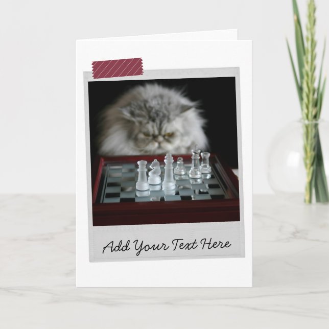Chess Player Cat Funny Card (Front)