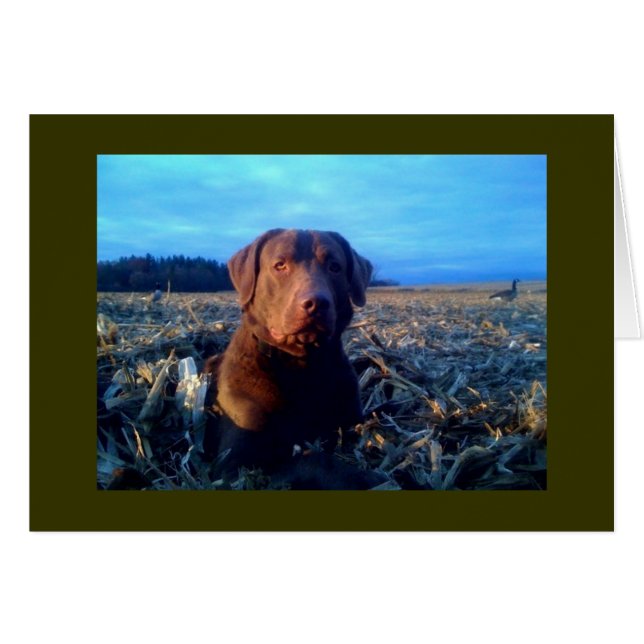 Chessie (Front Horizontal)