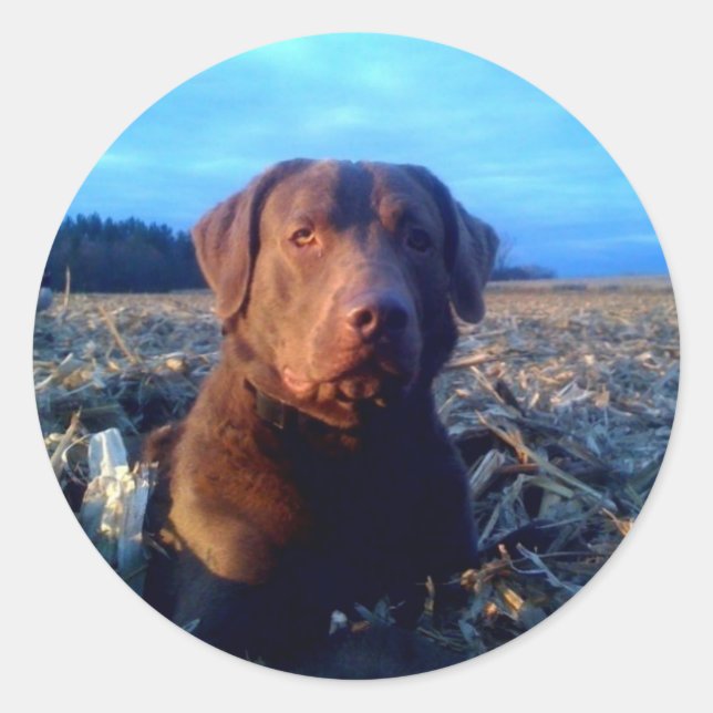 Chessie Classic Round Sticker (Front)