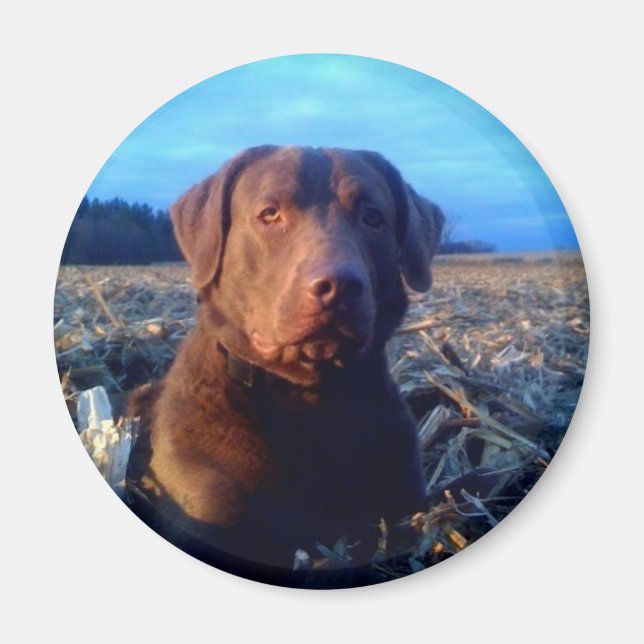 Chessie Magnet (Front)