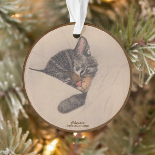 Chessie the Sleeping Kitten Acrylic Ornament