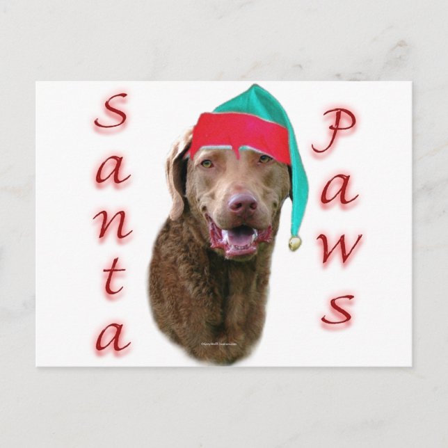 ChessiePaws Postcard (Front)