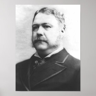 Chester A. Arthur 21 Poster