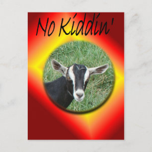 Chester Postcard-customise any occasion Invitation Postcard