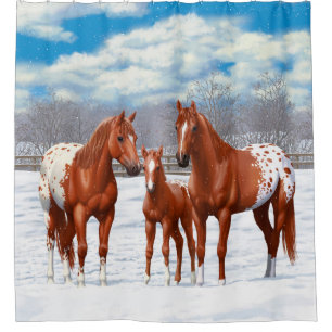 Chestnut Appaloosa Horses In Snow Shower Curtain