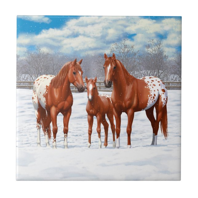 Chestnut Appaloosa Sorrel Quarter Horses in Snow Ceramic Tile (Front)