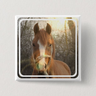 Chestnut Arab Horse Square Pin