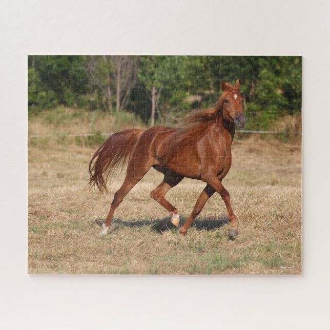Chestnut Arab Running Mane and Tail Flowing Jigsaw Puzzle (Horizontal)