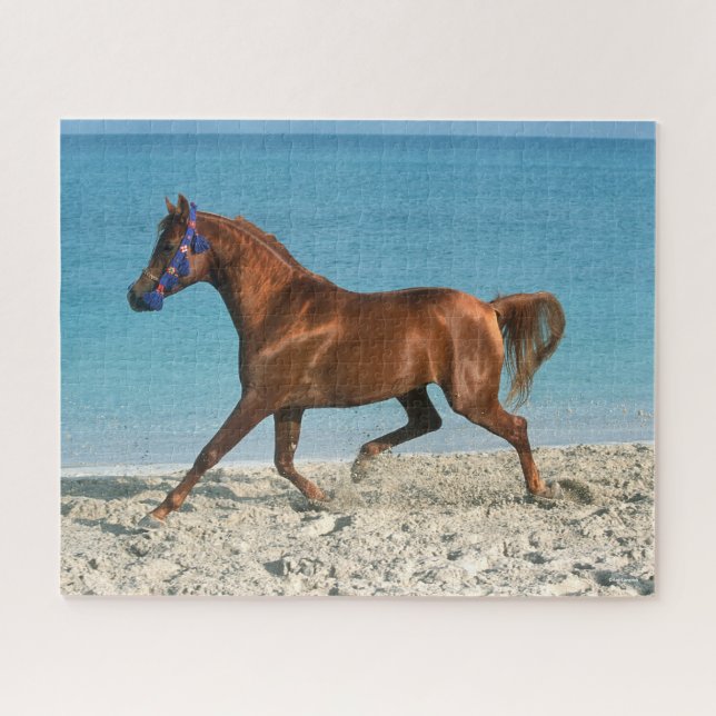 Chestnut Arab Stallion Running on Beach Jigsaw Puzzle (Horizontal)