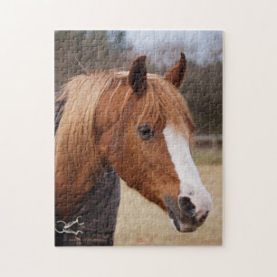 Chestnut Arabian mare Jigsaw Puzzle